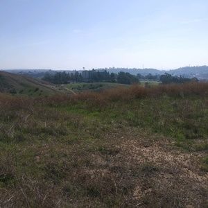 Meet your Posher, Minerva